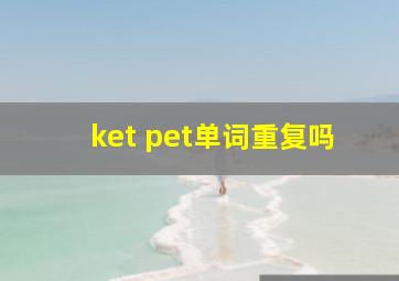 ket pet单词重复吗